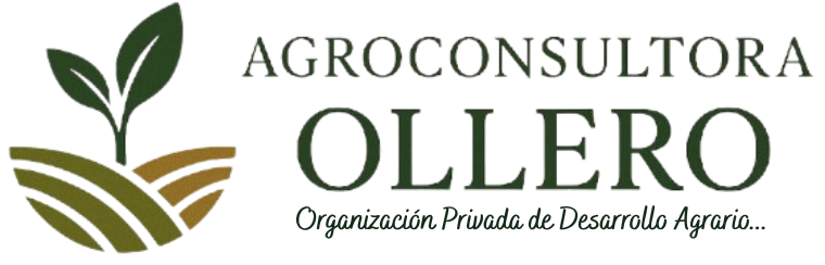 Nuevo Logo - Diseño 2.1